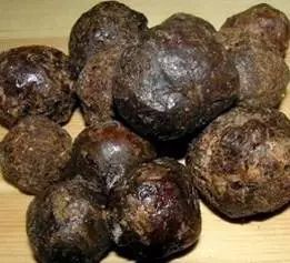 进出口蜂产品安全知识小贴士 从蜜蜂养殖到国际餐桌的守护