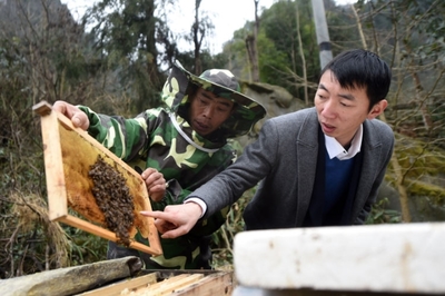 归巢青年 把澎湃的青春献给故乡的“甜蜜事业”